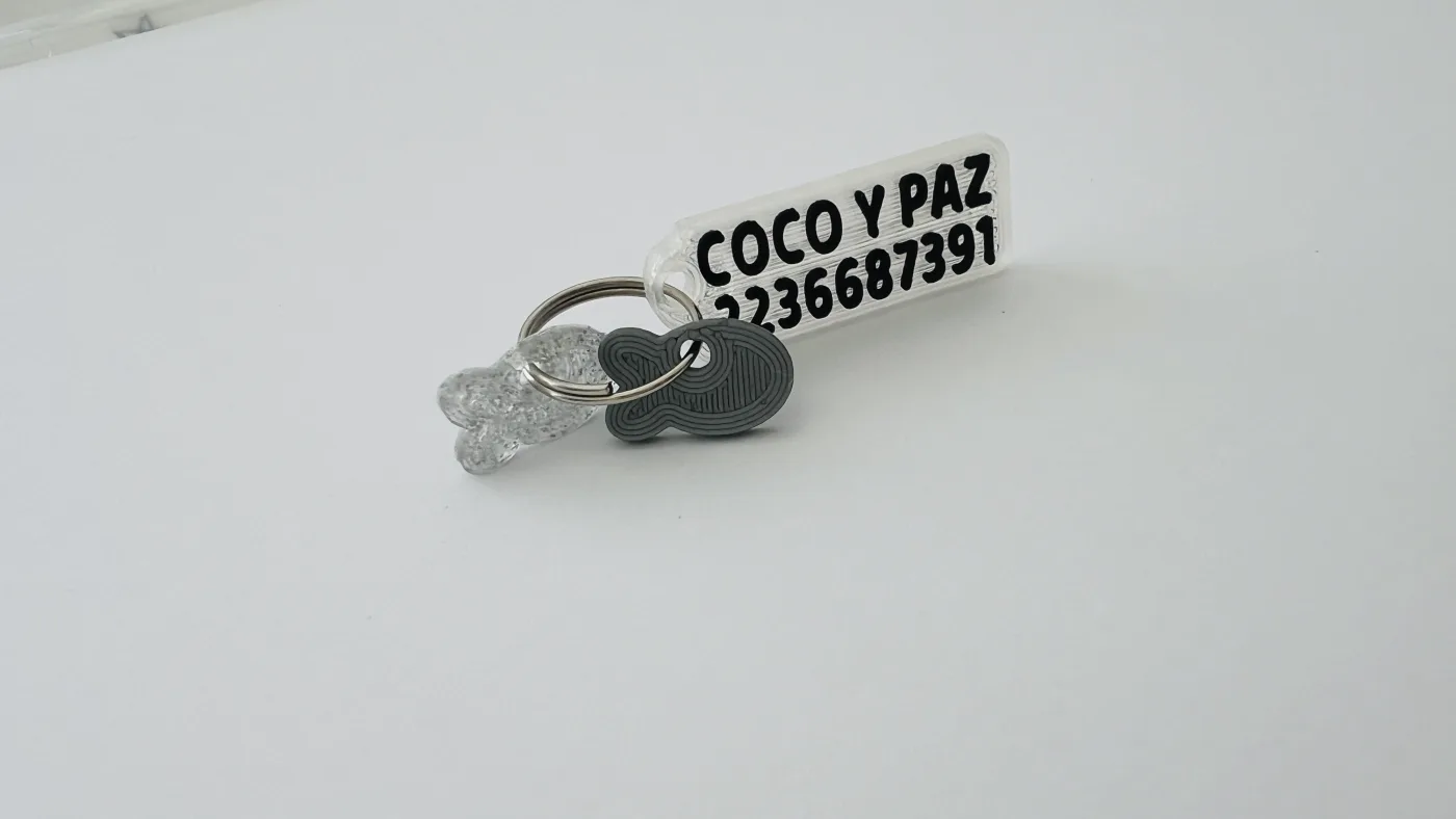 Chapita Mini Pez Plateado