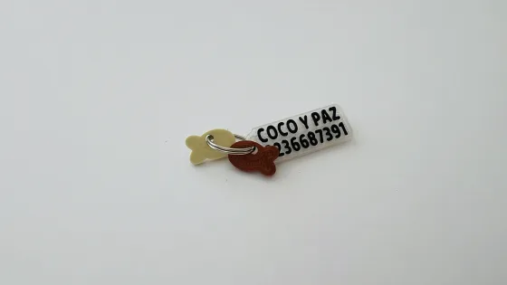Chapita Mini Pez Cobre