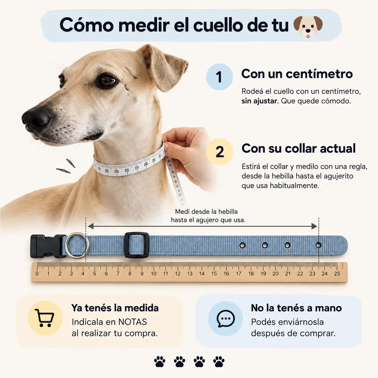 Collar Jumbo